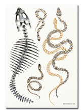 Load image into Gallery viewer, Privremene tetovaže DARK SIDE POISON