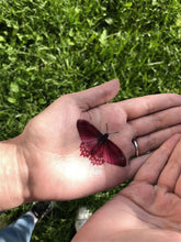 Učitajte sliku u preglednik galerije, Privremene mini tetovaže EASINESS